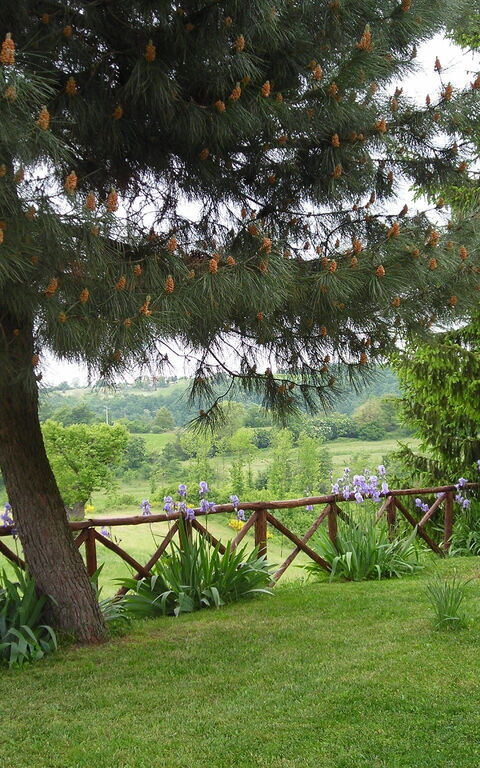 Ginestrella: Extérieur, Jardin