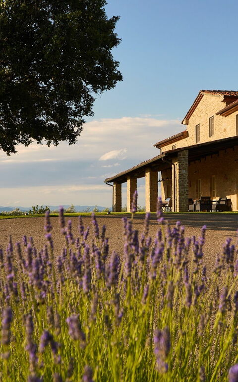 Villa Agazzi: Extérieur, Extérieurs, Jardin