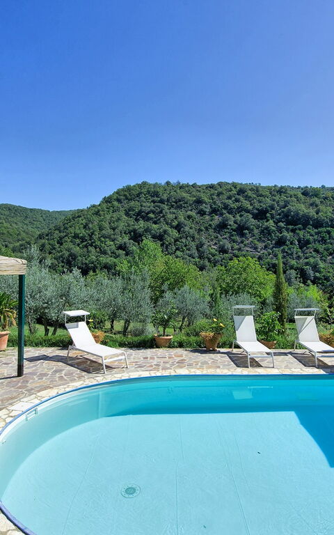 Bigiolo a Melazzano: bassin