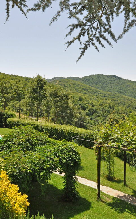 Villa Dame: bassin, Jardin