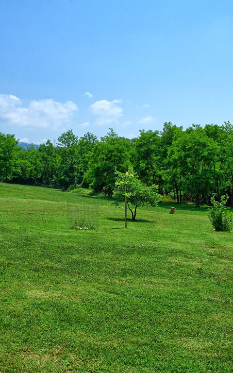 Casa Ovile: Jardin, Vues