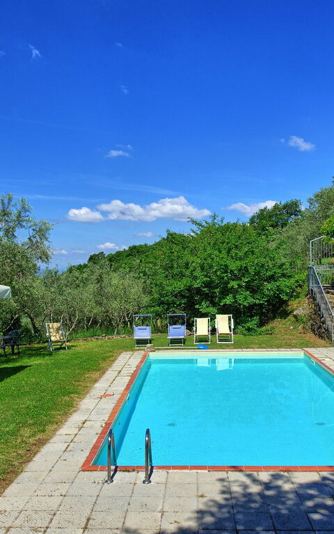 Panzalla: bassin, Jardin