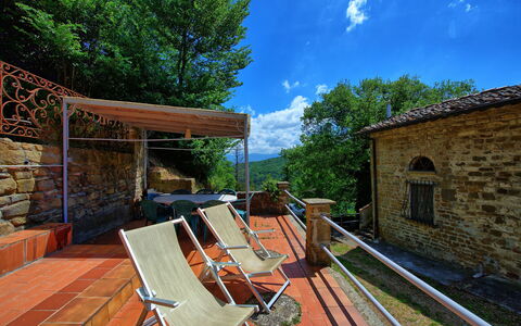 Logement Rondini: Extérieurs, Jardin