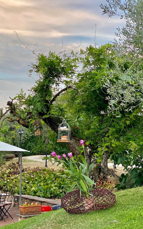 Villa Ulivi: Extérieur, Jardin, Vues