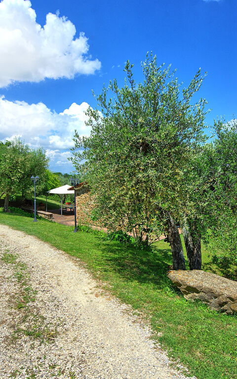 Villa Ulivi: Extérieur, Extérieurs, Jardin
