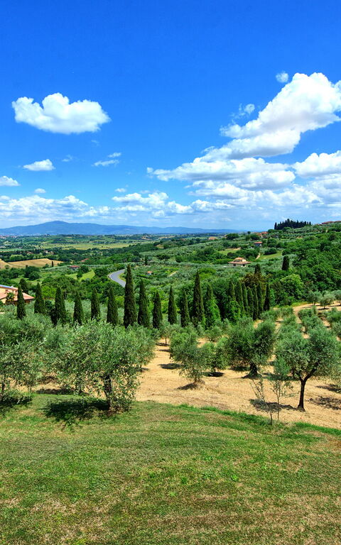 Villa Ulivi: Été, Extérieur, Vues