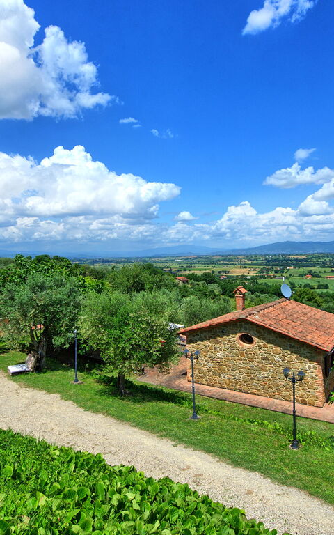 Villa Ulivi: Été, Extérieur, Extérieurs, Jardin, Vues