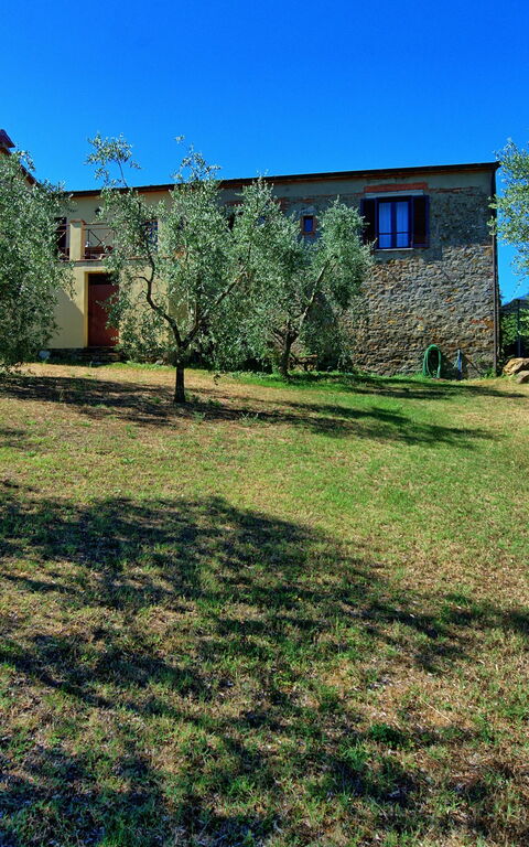 Villa Gloria: Jardin
