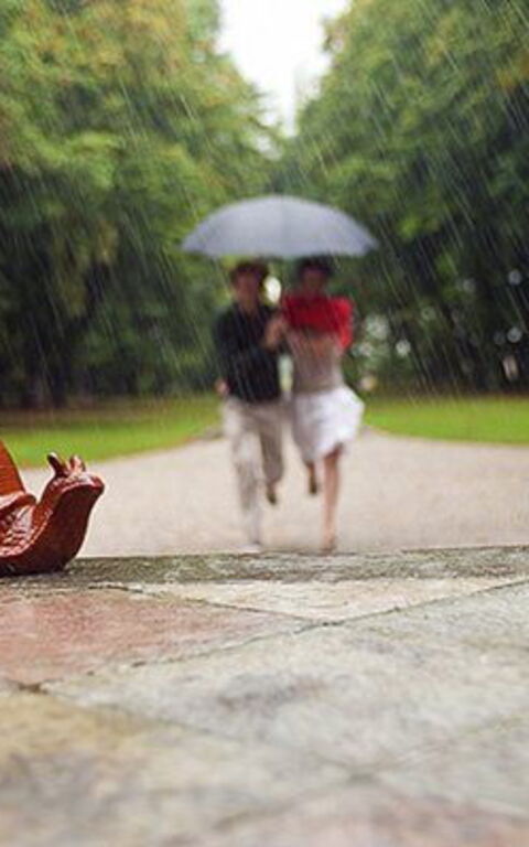 Ca' Marcello: Extérieur, Jardin