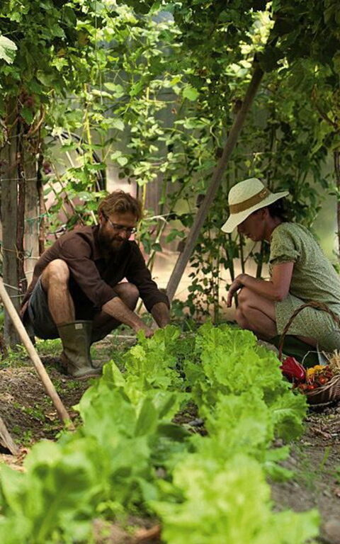 Ca' Marcello: Extérieur