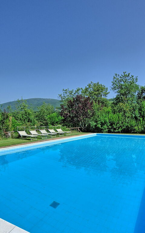 Villa Poggetta: bassin