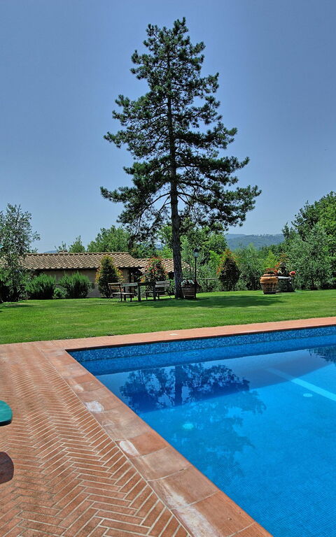 Villa Poggetta: bassin