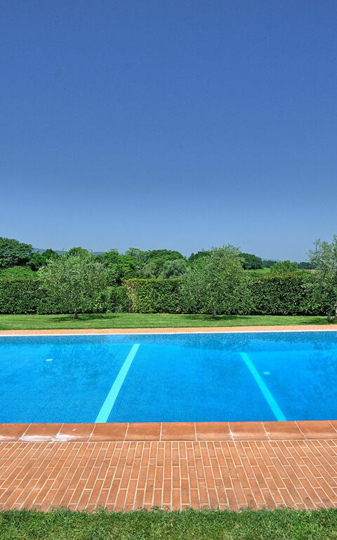 Villa Poggetta: bassin