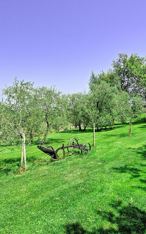 Villa Poggetta: Jardin