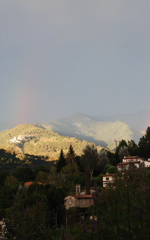 Villa Il Nido: Extérieur, Vues