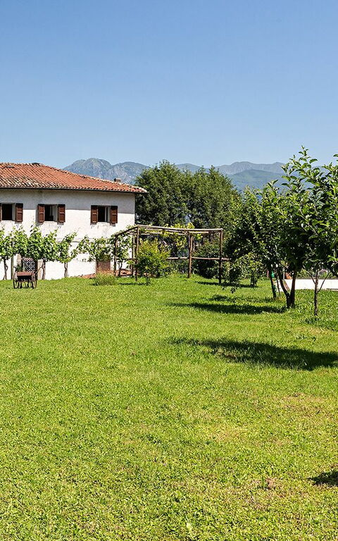 Villa Il Nido: Jardin