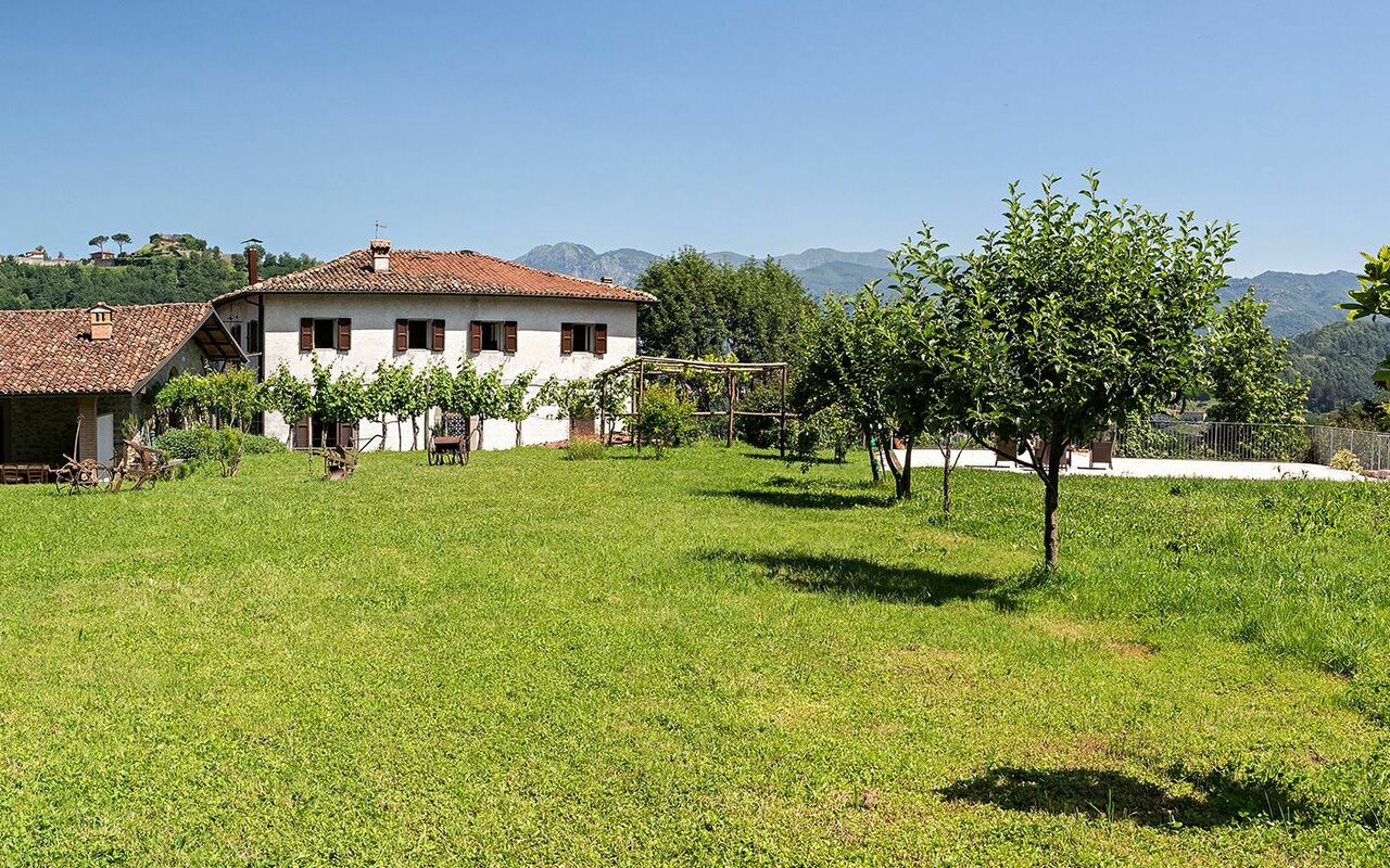 Villa Il Nido: Jardin