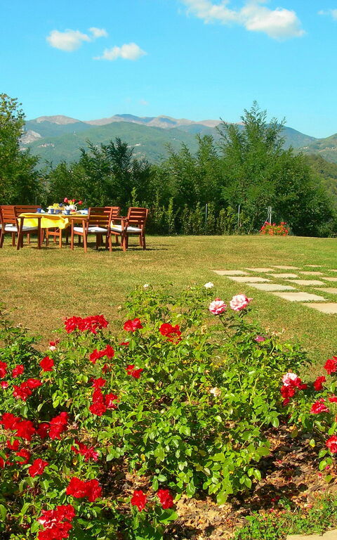 Villa Saida: Extérieur, Jardin