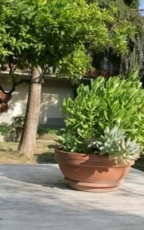 ***villa Contea: Extérieur, Jardin