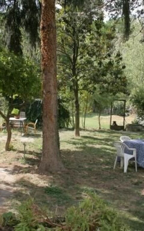 ***villa Contea: Extérieur, Jardin