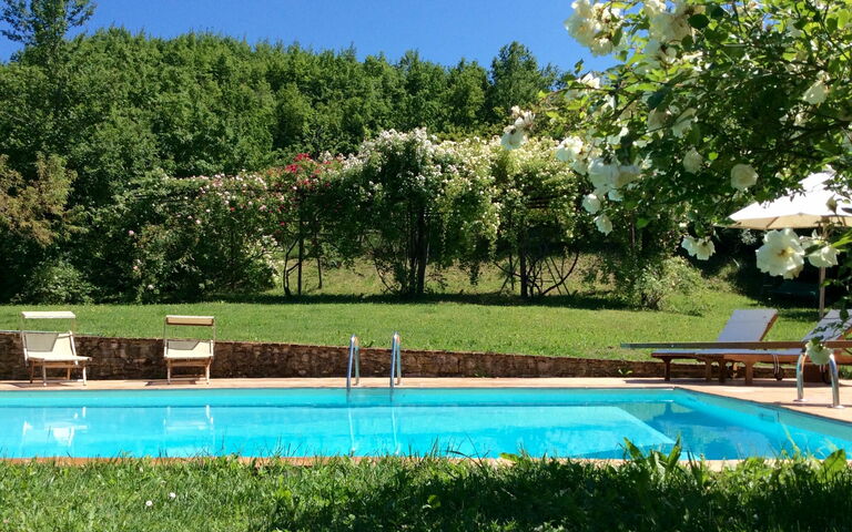 La Cenerara