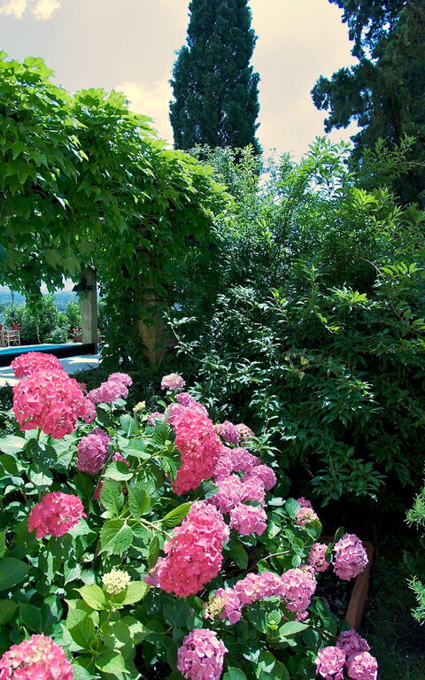 Villa Pedone: Extérieur, Jardin