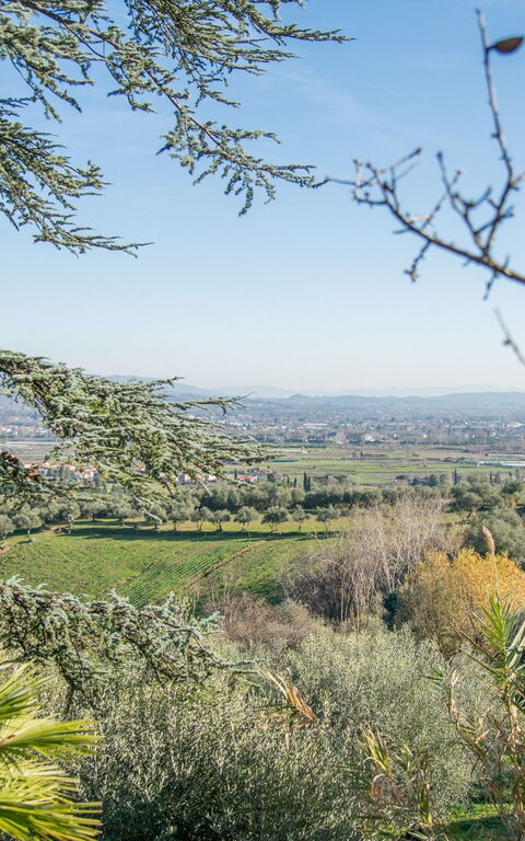 Villa Pedone: Extérieur