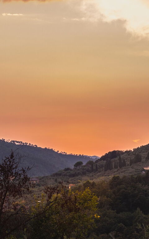 Villa Pedone: Extérieur