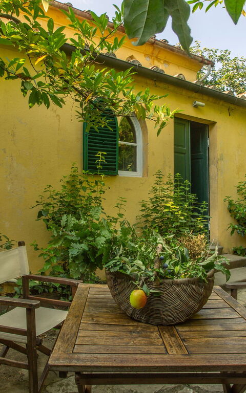 Villa Pedone: Extérieur, Jardin