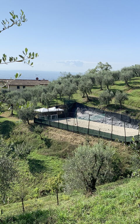 Villa Le Ferrette: Extérieur