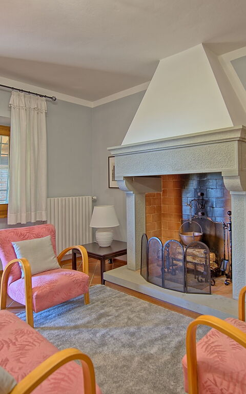 Villa Crispinino: Salon