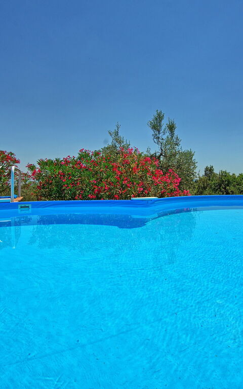 Villa Corolle: bassin