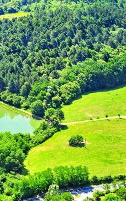 Villa Sant' Angelo: Jardin, Vues