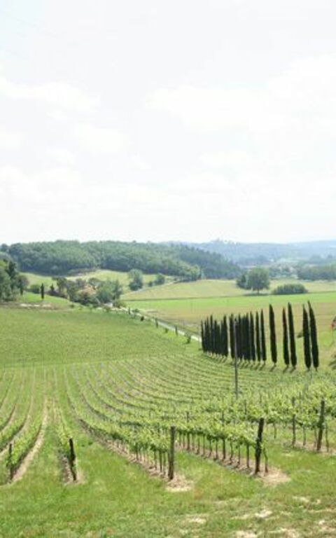 Villa Buonaparte: Vues