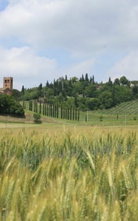 Villa Buonaparte: Vues