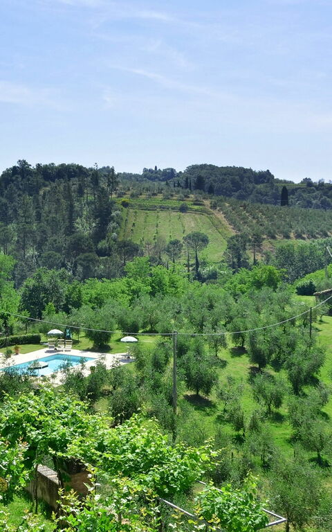 Villa Buonaparte: Jardin