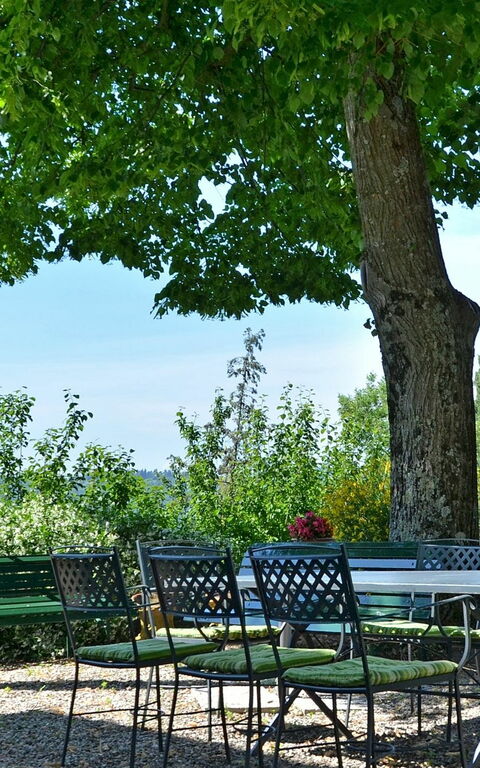 Villa Buonaparte: Jardin