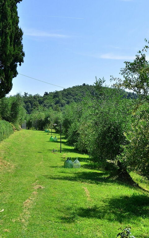 Villa Buonaparte: Jardin