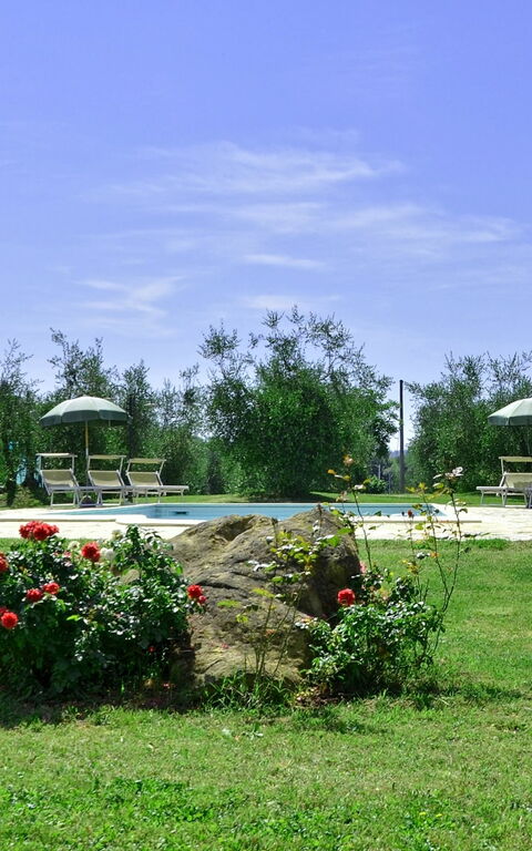 Villa Buonaparte: Jardin