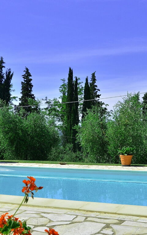 Villa Buonaparte: bassin, Jardin