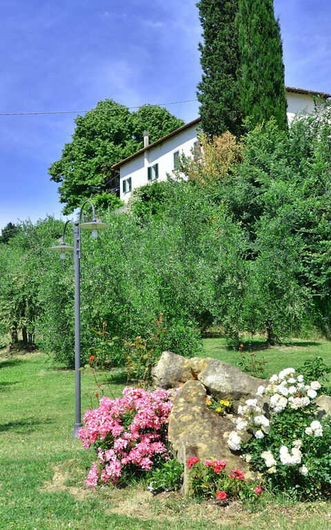 Villa Buonaparte: Jardin