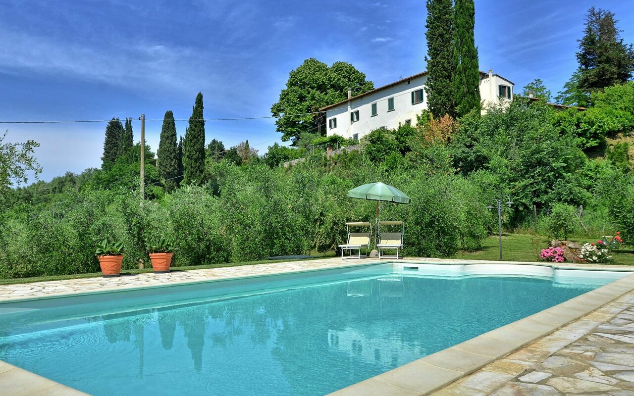 Villa Buonaparte: bassin, Jardin