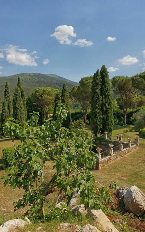Villa De Ranieri: Jardin, Vues