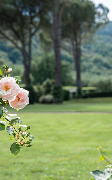 Villa De Ranieri: Extérieur, Jardin