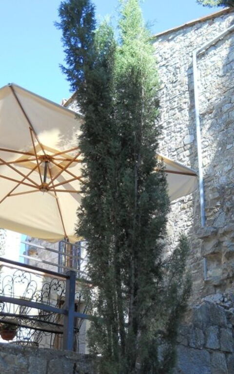 Il Nibbio Del Castello Di Monteluco