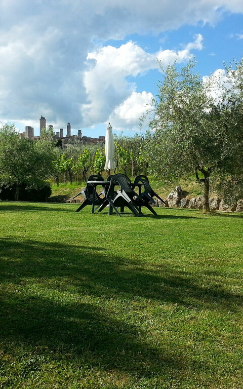 Podere Degli Olivi: Jardin