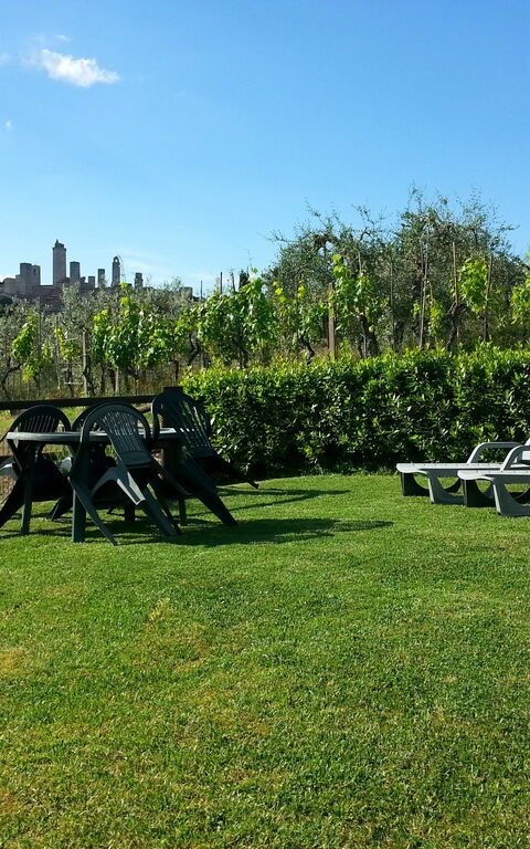 Podere Degli Olivi: Extérieur, Jardin