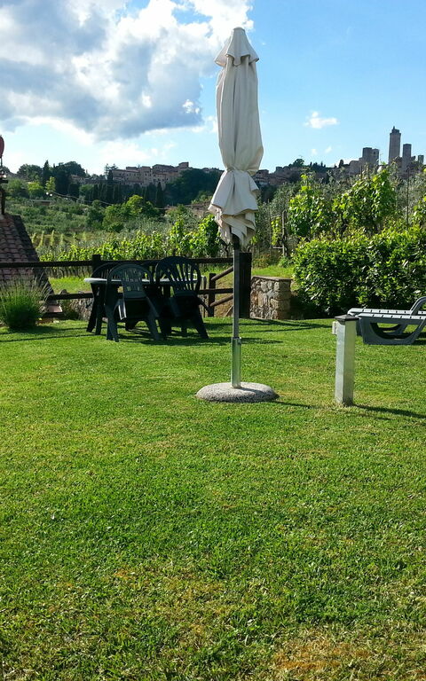 Podere Degli Olivi: Jardin