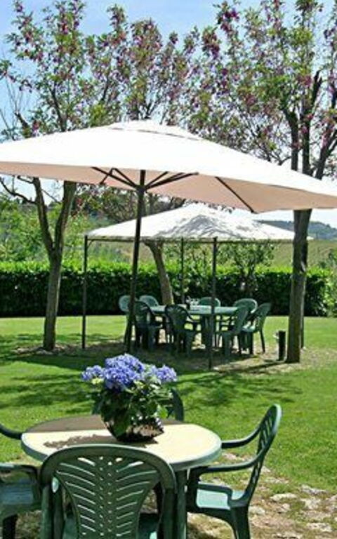 Podere Degli Olivi: Jardin