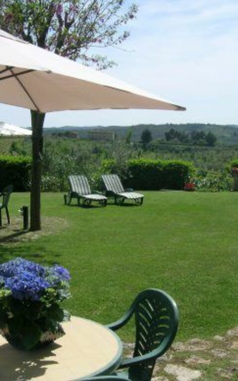 Podere Degli Olivi: Jardin